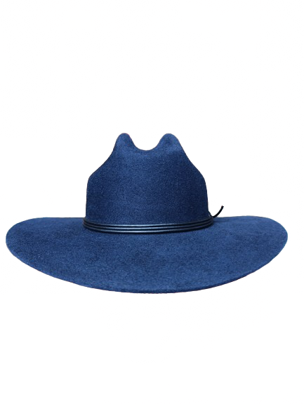 Hermosillo Top Hat