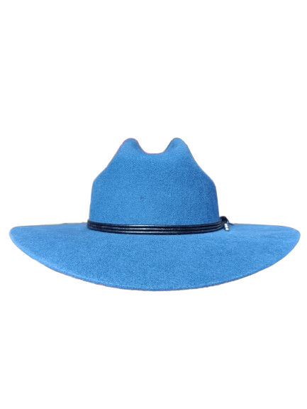 Hermosillo Top Hat