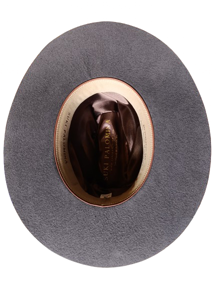 Hermosillo Top Hat