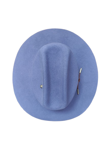 Hermosillo Top Hat
