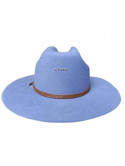 Hermosillo Top Hat