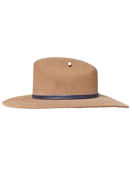 Hermosillo Top Hat