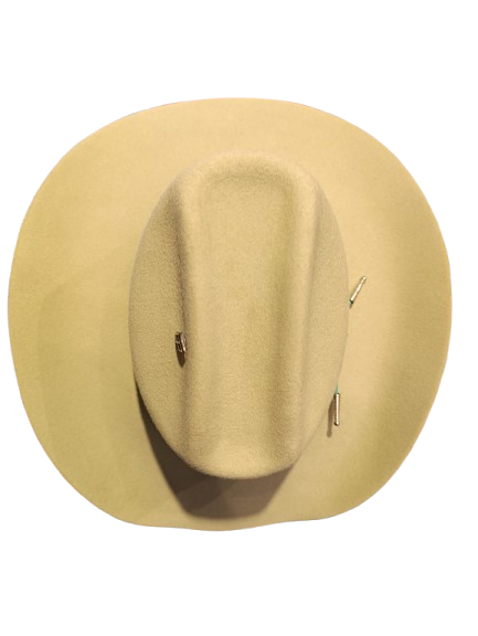 Hermosillo Top Hat