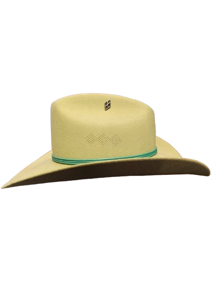 Hermosillo Top Hat