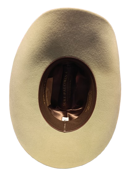Hermosillo Top Hat