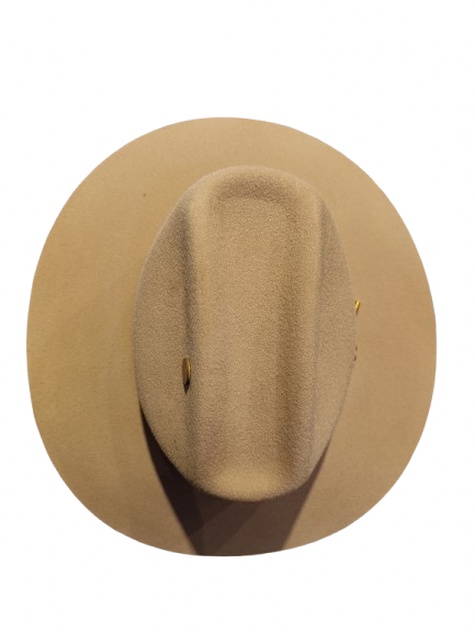 Hermosillo Top Hat