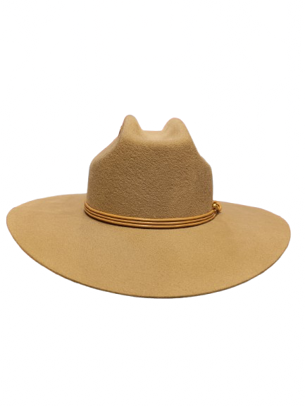 Hermosillo Top Hat