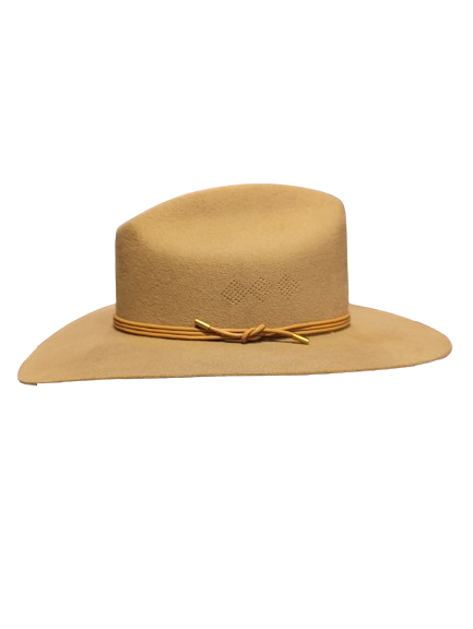 Hermosillo Top Hat