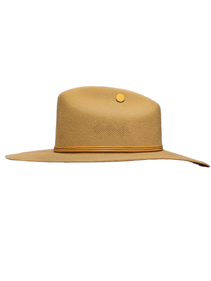 Hermosillo Top Hat