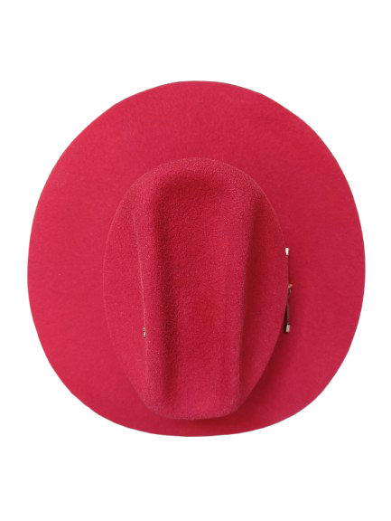 Hermosillo Top Hat