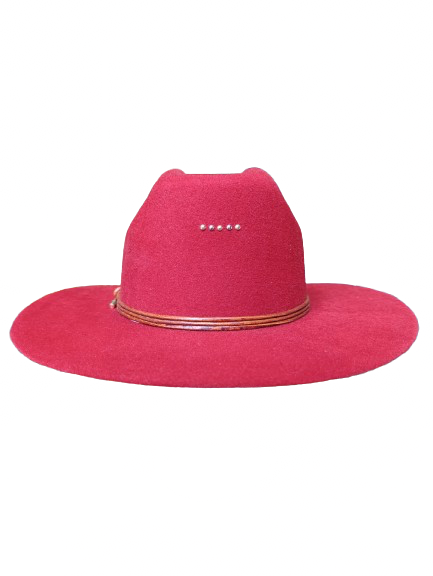 Hermosillo Top Hat