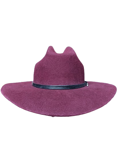 Hermosillo Top Hat