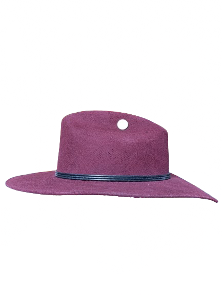 Hermosillo Top Hat